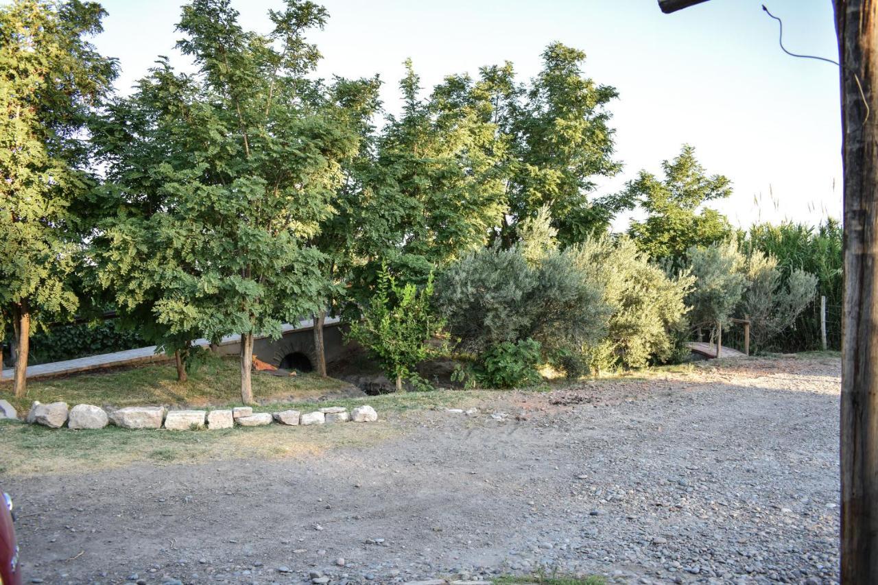 Cabanas De La Bodega Romano-Pin Albardon Luaran gambar