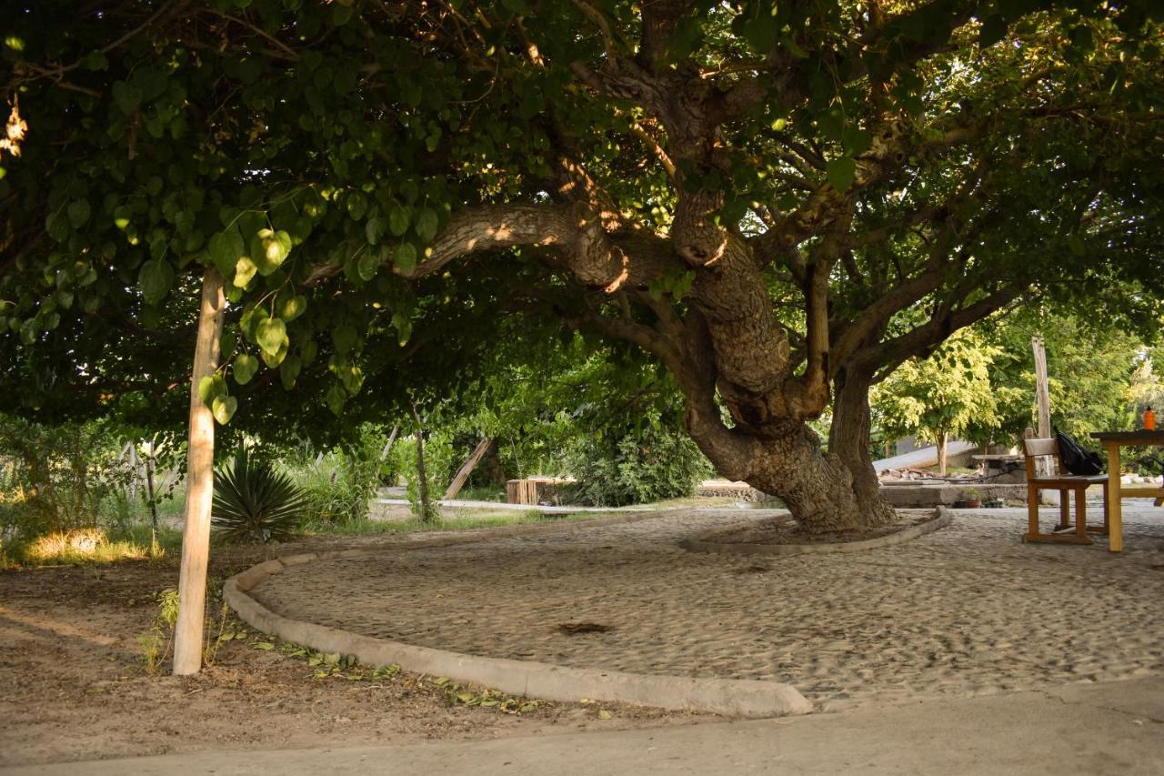 Cabanas De La Bodega Romano-Pin Albardon Luaran gambar
