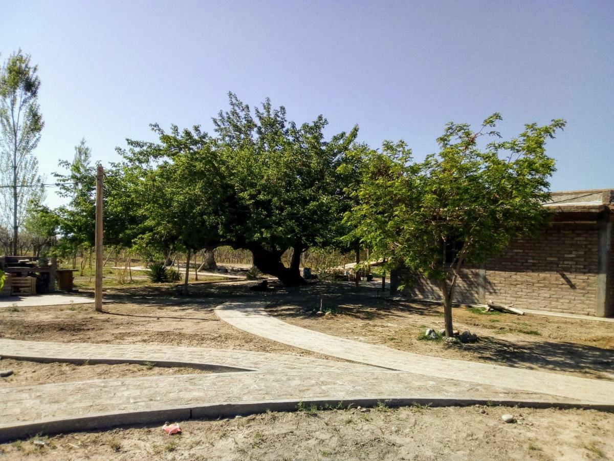 Cabanas De La Bodega Romano-Pin Albardon Luaran gambar